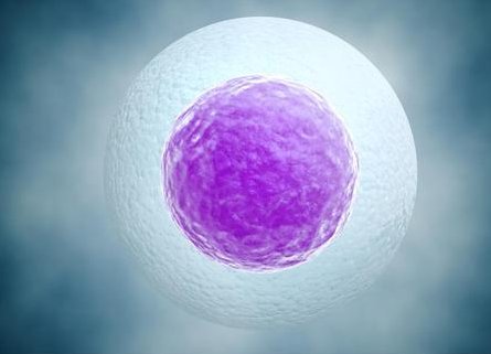 最常见的“大促”—长方案是怎么做的？