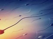 浙江做一次三代试管的费用是多少？费用明细是怎么样的？