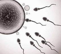 41岁试管放几个胚胎无固定要求，高龄女性最多放三个