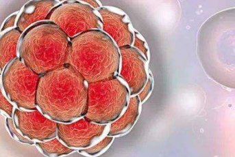 染色体异常不孕能在广西医科大学第一附属医院做三代试管怀孩子吗？男人染色体有问题能做试管吗？