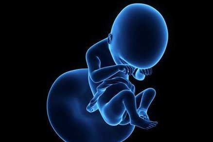 2026年洛阳市妇幼保健院做试管怎么样？